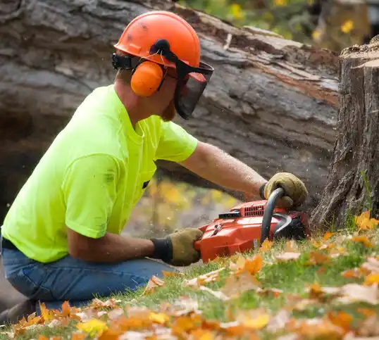 tree services White Rock